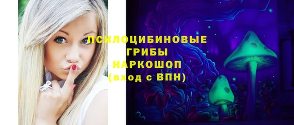 spice Осташков