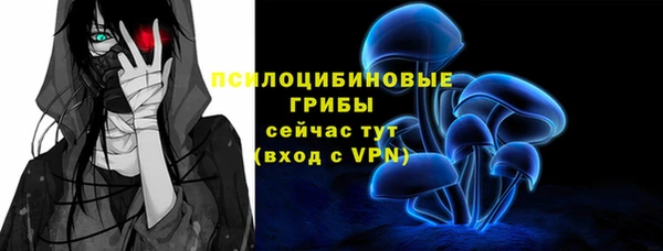 гашик Осинники