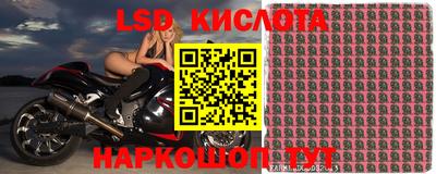 мяу мяу мука Комсомольск-на-Амуре