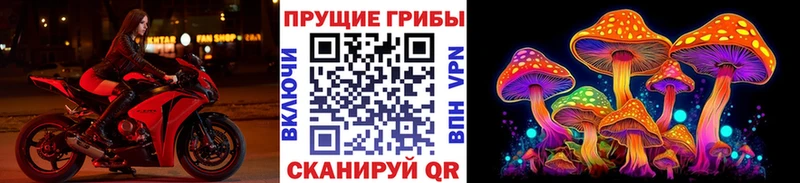 MEGA зеркало  где можно купить наркотик  Сарапул  Галлюциногенные грибы Cubensis 