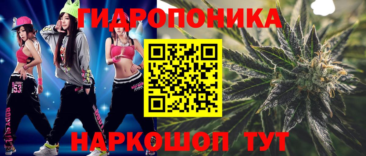 Конопля конопля  Вход с VPN  Бошки марихуана THC 21%  Сарапул  Марихуана SATIVA & INDICA  Каннабис план 
